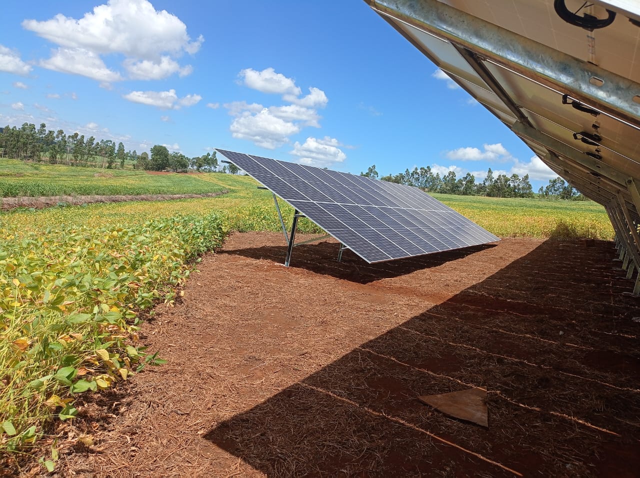 Projeto rural / agronegócio